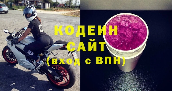 хмурый Семилуки